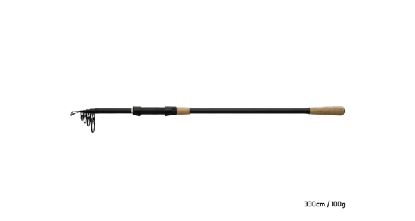 DELPHIN - Prut Torrax 3,3 m 100 g