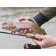 DELPHIN - Prut Troutera HardLure 1,8 m 1-5 g 2 díly