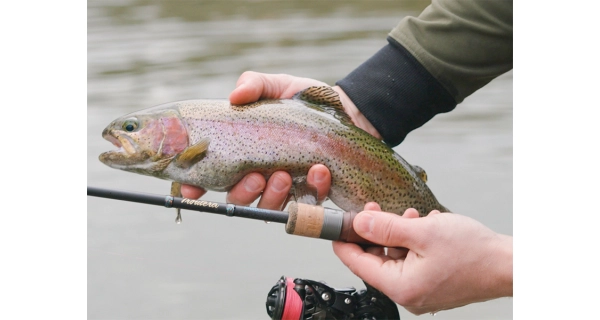 DELPHIN - Prut Troutera HardLure 2,1 m 2-7 g 2 díly