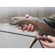 DELPHIN - Prut Troutera SoftLure 2,1 m 1-7 g