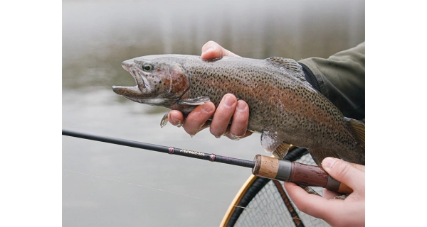 DELPHIN - Prut Troutera SoftLure 2,1 m 1-7 g