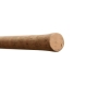 DELPHIN - Prut Zephyr Spin 50 g 2,55 m