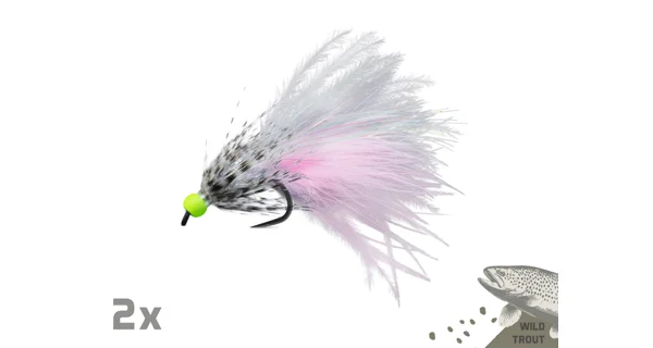 DELPHIN - Sada umělých mušek FLY Wild Trout 10 ks