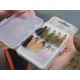 DELPHIN - Sada umělých mušek FLY Wild Trout 10 ks