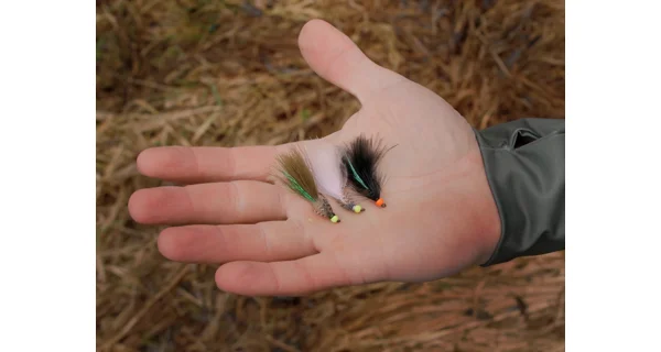 DELPHIN - Sada umělých mušek FLY Wild Trout 10 ks