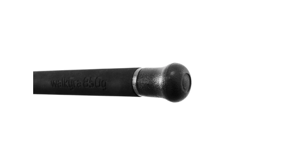 DELPHIN - Sumcový prut Walkyra 850 g 3,3 m