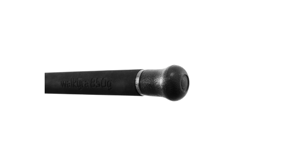 DELPHIN - Sumcový prut Walkyra 850 g 3,3 m