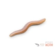 DELPHIN - Umělá nástraha B! StinxWorm 50 ks 4 cm Shrimp Skiny