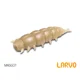 DELPHIN - Umělá nástraha LARVO Cheese 3 cm 15 ks Maggot