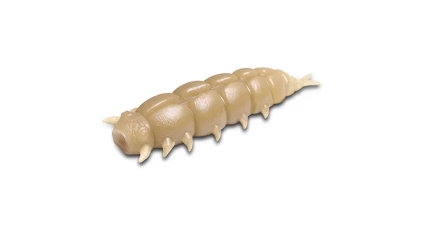 DELPHIN - Umělá nástraha LARVO Cheese 3 cm 15 ks Maggot