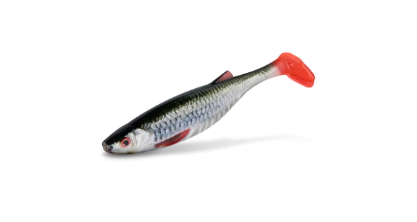 DELPHIN - Umělá nástraha Realix 3D 13 cm 2 ks Roach