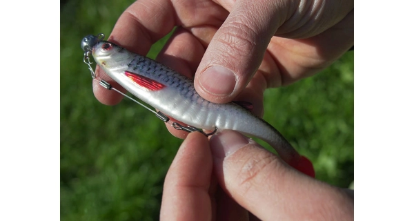 DELPHIN - Umělá nástraha Realix 3D 13 cm 2 ks Roach