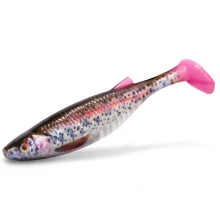 DELPHIN - Umělá nástraha Realix 3D 13 cm 2 ks Trout
