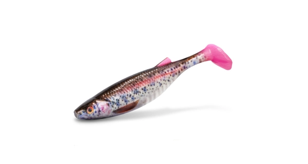 DELPHIN - Umělá nástraha Realix 3D 13 cm 2 ks Trout