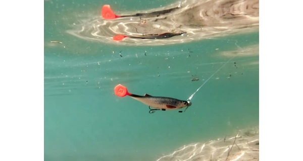 DELPHIN - Umělá nástraha Realix 3D 13 cm 2 ks Trout