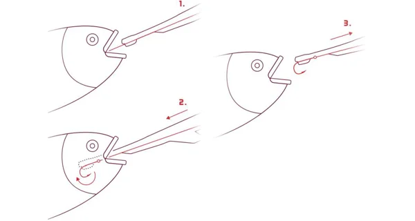 DELPHIN - Vyběrač háčků HOOKY