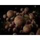 DELPHIN - Vyvážené boilies BreaX SeaKER Oliheň Losos 16 mm 100 g