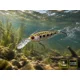 DELPHIN - Wobler WOBBY CRANK-DP Floating 7 cm 12 g Mirror