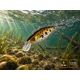 DELPHIN - Wobler WOBBY CRANK-SH Floating 5 cm 8 g Nova
