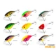 DELPHIN - Wobler WOBBY CRANK-SH Floating 5 cm 8 g Rainbo