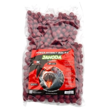 DK FISHING - Boilies Power Attract 24 mm 5 kg Jahoda