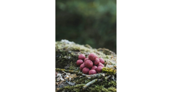 DK FISHING - Boilies Power Attract 24 mm 5 kg Jahoda