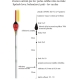 EXPERT PLAVÁKY - Rybářský balzový splávek (pevný) expert 4,0 g / 22 cm 