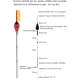 EXPERT PLAVÁKY - Rybářský balzový splávek (pevný) expert 4,0 g / 22 cm 