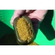 EXTRA CARP - Krmítko Method Feeder 50 g