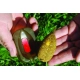 EXTRA CARP - Krmítko Method Feeder 50 g