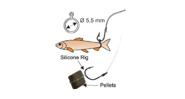 EXTRA CARP - Zarážky na pelety Bait Elastic Bands 5,5 mm 18 ks