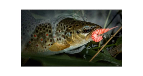 FISH UP - Dipovaná nástraha Tanta Bubble Gum 38 mm 10 ks