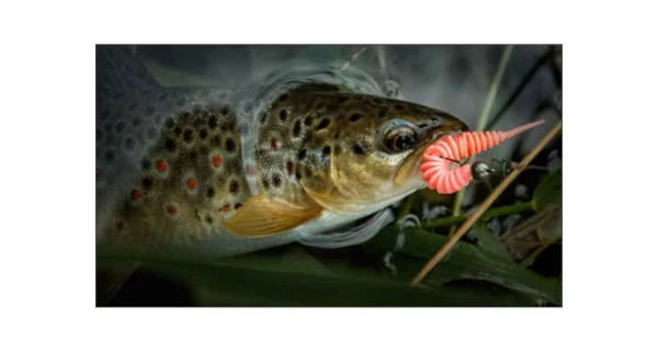 FISH UP - Dipovaná nástraha Tanta White Bubble Gum 38 mm 10 ks