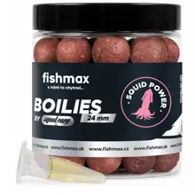FISHMAX - Boilie s esencí By Squat Carp Squid Power 24 mm