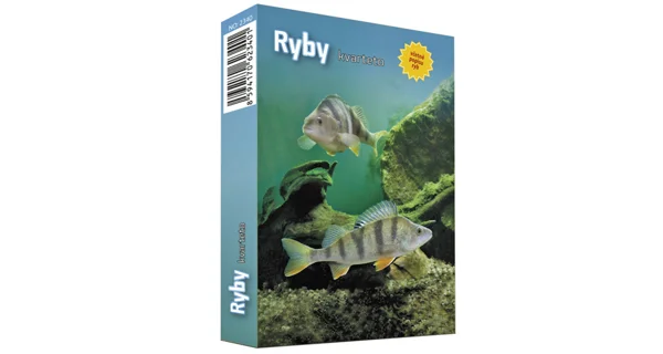FISHMAX - Karetní hra Kvarteto Ryby