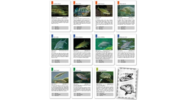 FISHMAX - Karetní hra Kvarteto Ryby