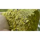 FISHMAX - Krmítková směs Vanilla Dream 1 kg