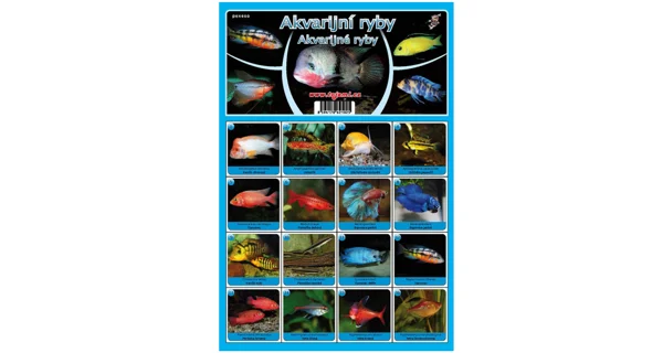 FISHMAX - Pexeso Akvarijní ryby