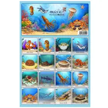 FISHMAX - Pexeso Moře