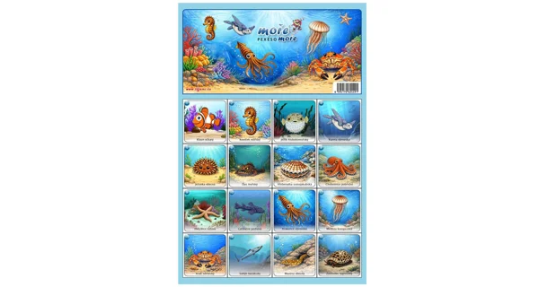 FISHMAX - Pexeso Moře