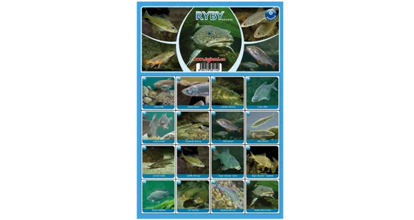 FISHMAX - Pexeso Ryby 6 naučná