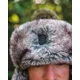 FOX - Beranice Trapper Hat