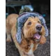 FOX - Beranice Trapper Hat