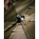 FOX - Deštník Brolly 60"