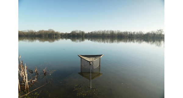 FOX - Krycí síťka na podběrák Net Cover