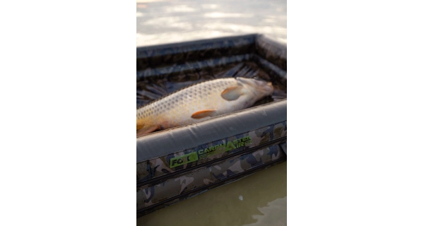 FOX - Nafukovací podložka Carpmaster Air Mat