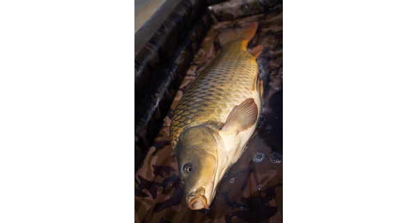 FOX - Nafukovací podložka Carpmaster Air Mat