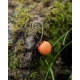 FOX - Návazce Edges Spinner Rig vel. 7 3 ks