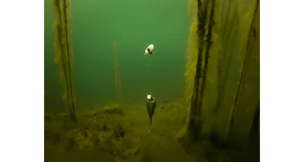 FOX - Plovák Edges Zig Float Kit