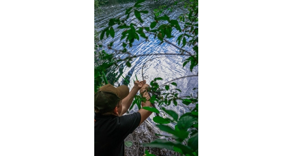 FOX - Prut Explorer 8–10 ft 3,25 lb Full Shrink